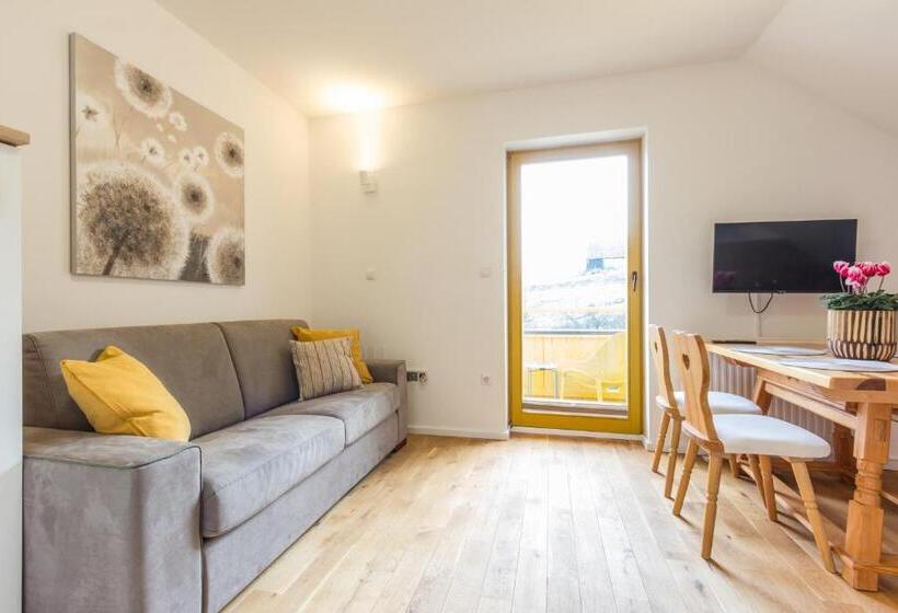 آپارتمان 1 خوابه با بالکن, Vilaraj