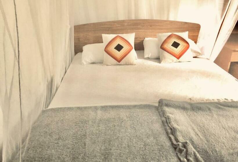 Habitació Deluxe, Gleam Nest