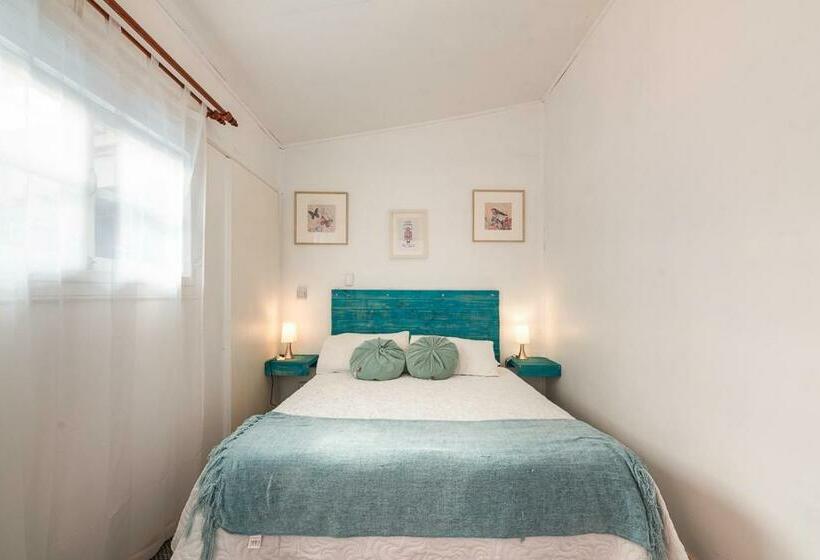 StandaardKamer, Alma Pucón