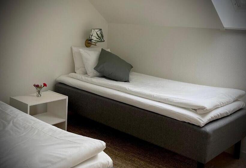 Номер Стандарт, Gåsen Out B&b