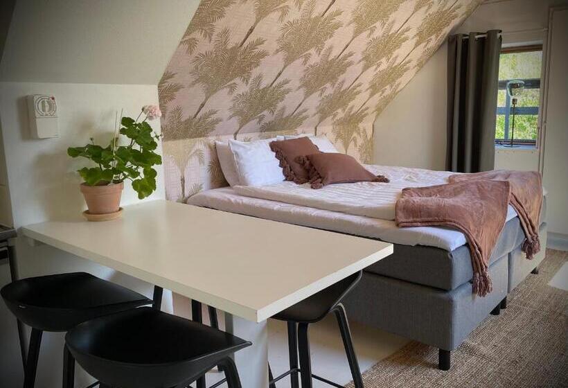 إستديو عائلى, Gåsen Out B&b