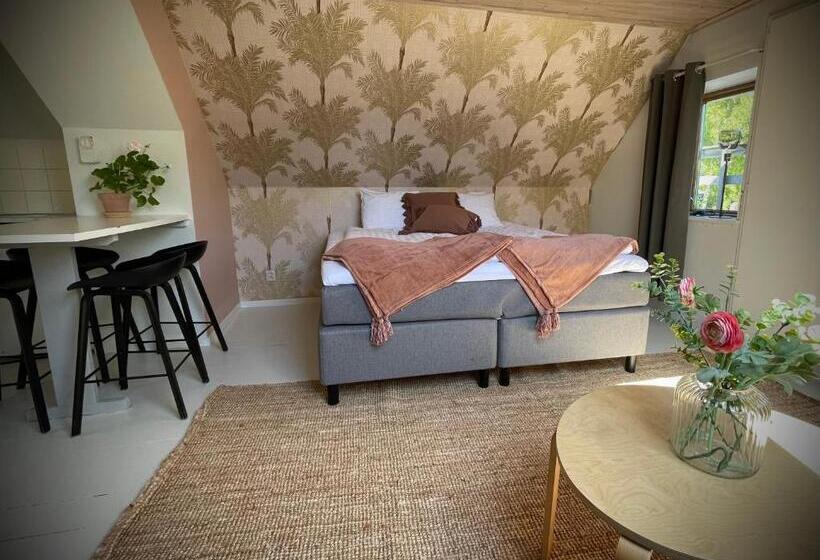 Семейное Студио, Gåsen Out B&b