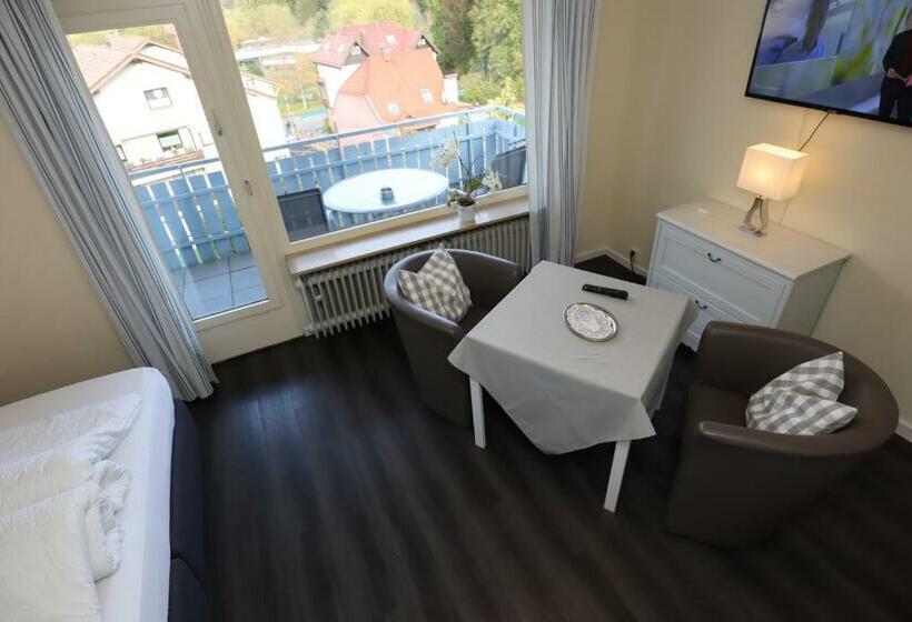 Номер Стандарт, Sonnenhof Garni