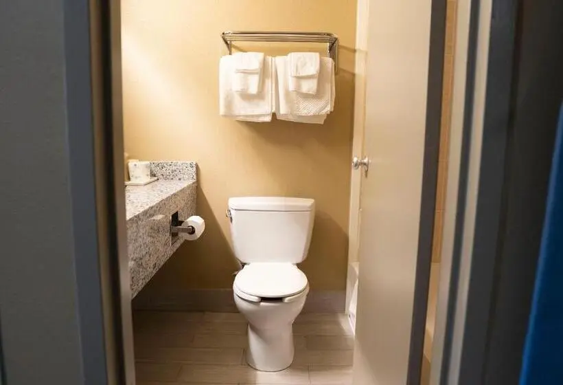 身障者適用キングサイズベッドルーム, Framingham Inn