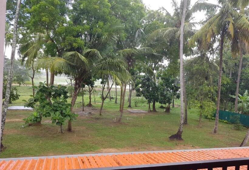 חדר משפחתי, Yala Viewer Bird Resort And Safari