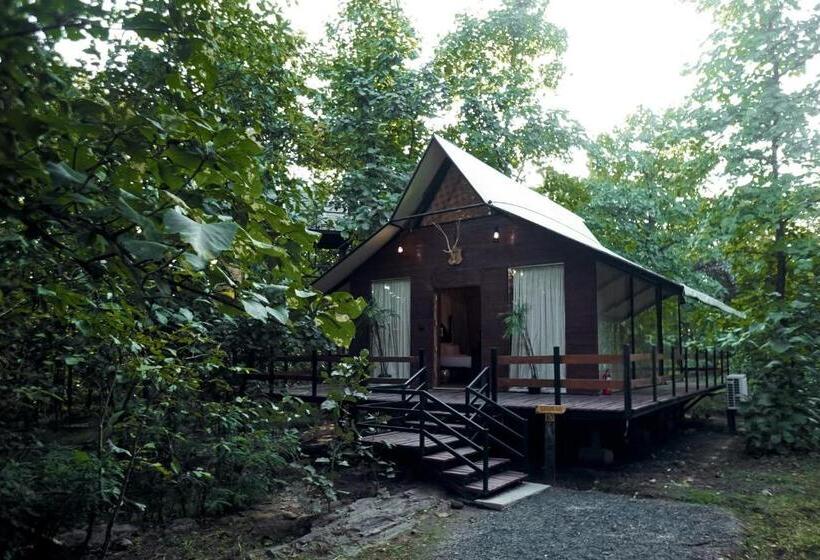 Standard Tent, La Selva Resort, Pench National Park