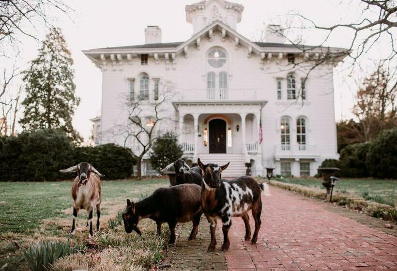 חדר דלוקס, Mayhurst Estate