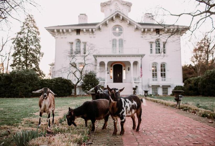 Номер Superior, Mayhurst Estate