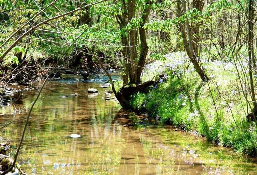 غرفة قياسية, Creekwalk Inn Bed And Breakfast With Cabins