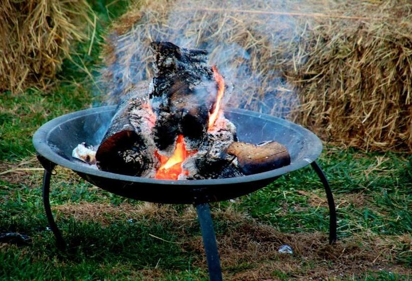 غرفة قياسية سرير كينج, Creekwalk Inn Bed And Breakfast With Cabins