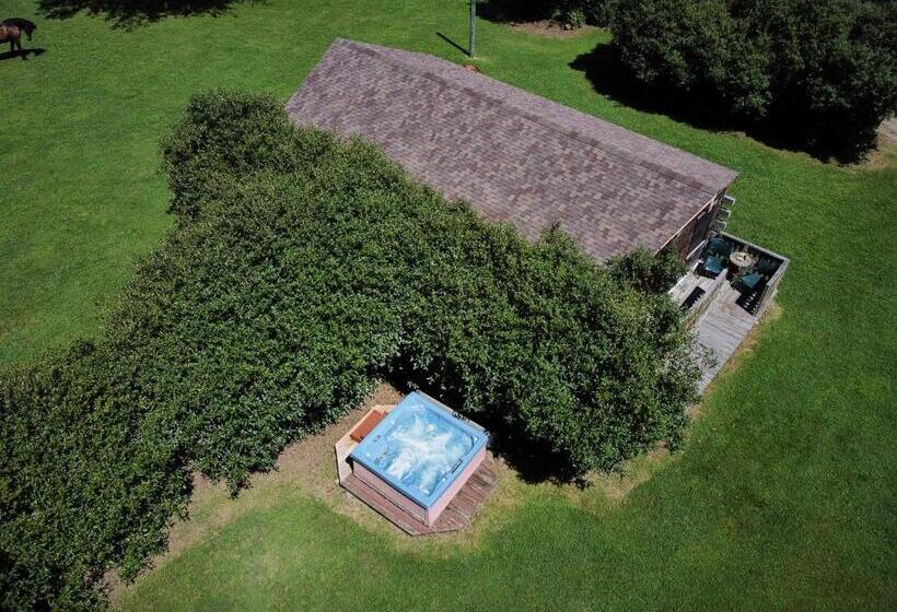 غرفة قياسية سرير كينج, Creekwalk Inn Bed And Breakfast With Cabins