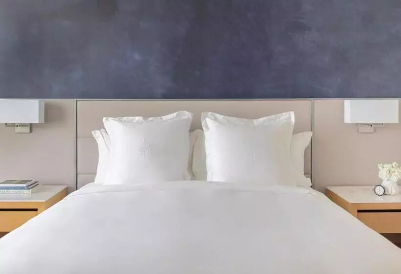 身障者適用スタンダードルーム, Four Seasons  St Louis