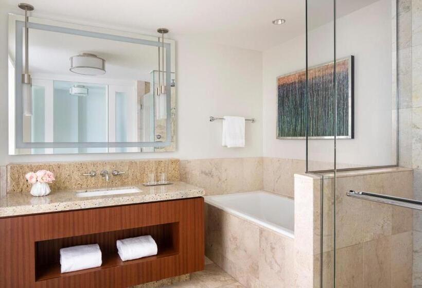 带城市景观的标准间, Four Seasons St Louis