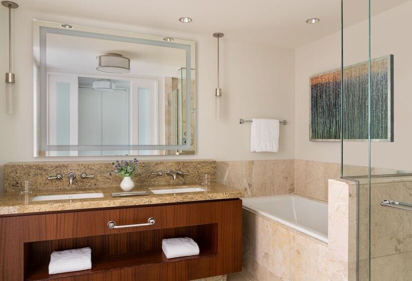 带2个双人床的标准工作室, Four Seasons St Louis