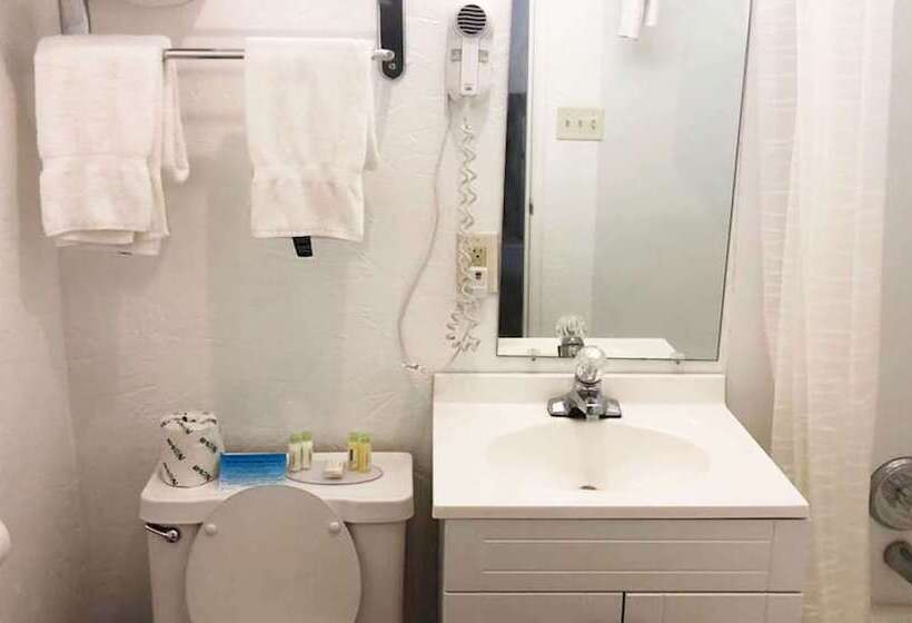 غرفة قياسية سرير مزدوج, M Star Hotel Mansfield