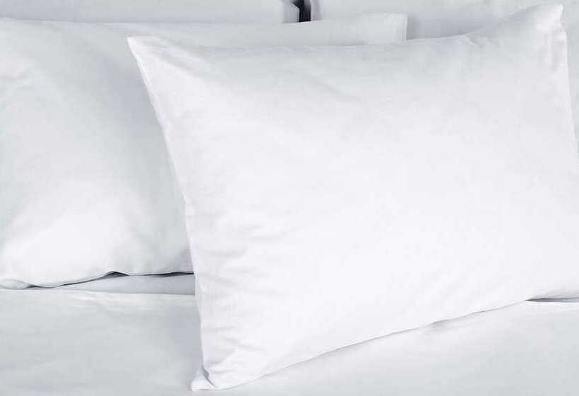 جناح, M Star Hotel Mansfield