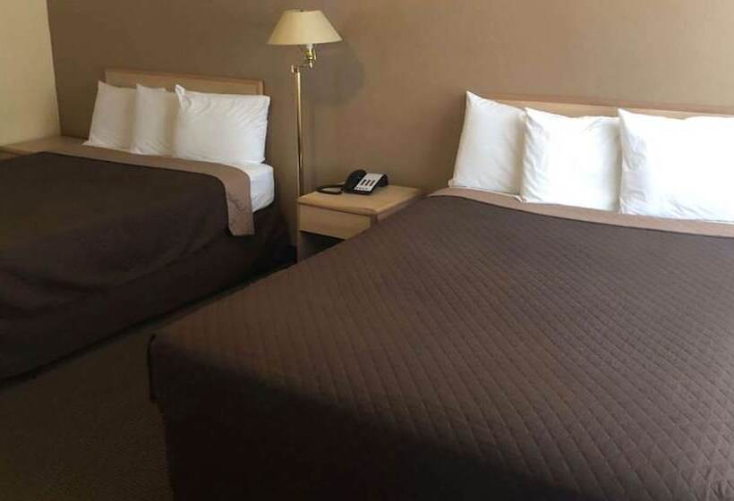 جناح, M Star Hotel Mansfield