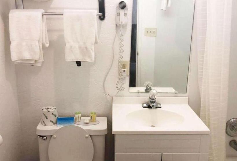 غرفة قياسية, M Star Hotel Mansfield