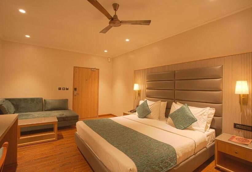 اتاق استاندارد با تخت بزرگ, The Cindrella