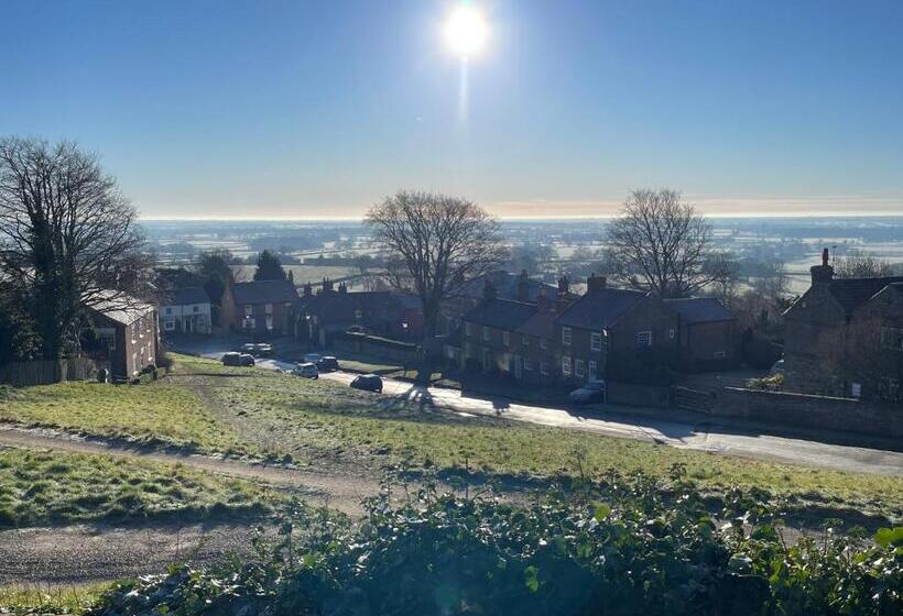 Студия Стандарт, The Durham Ox