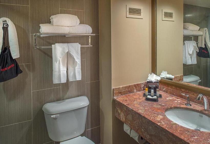 Номер Премиум, Umiere At The Arch