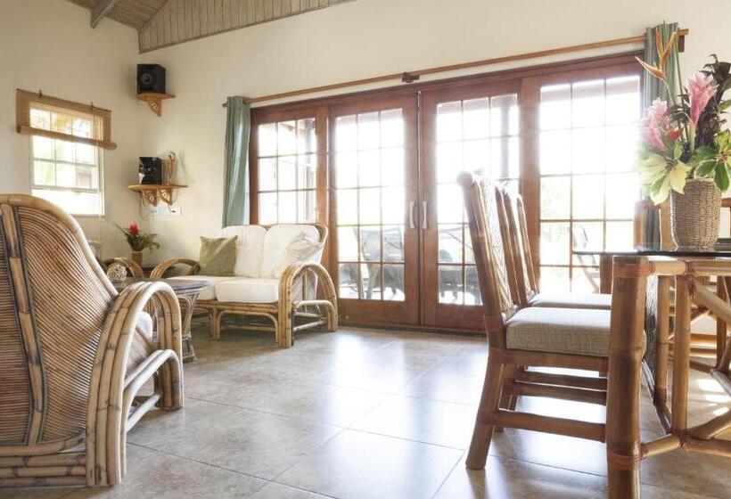 ویلای لوکس 1 خوابه, Maca Bana