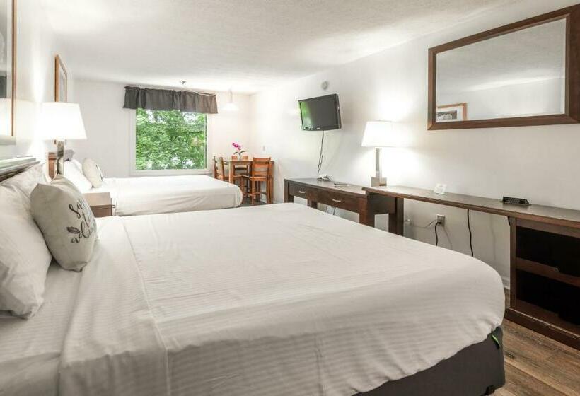 Номер Deluxe, Halesford Harbour Resort   Smith Mountain Lake