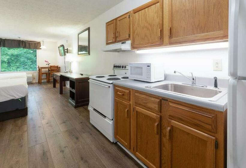 스탠다드 룸 킹사이즈 침대, Halesford Harbour Resort   Smith Mountain Lake