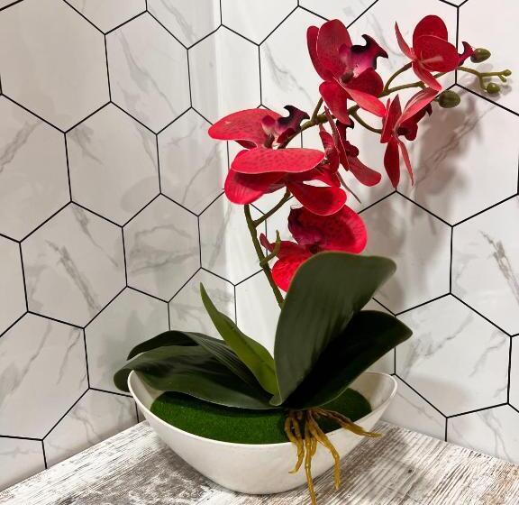 اتاق استاندارد, Sport Hotel Terra