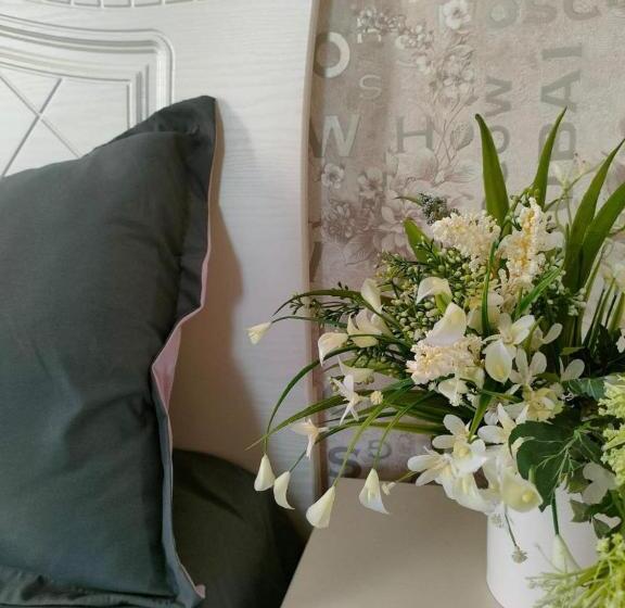 اتاق پریمیوم چهارنفره, Sport Hotel Terra