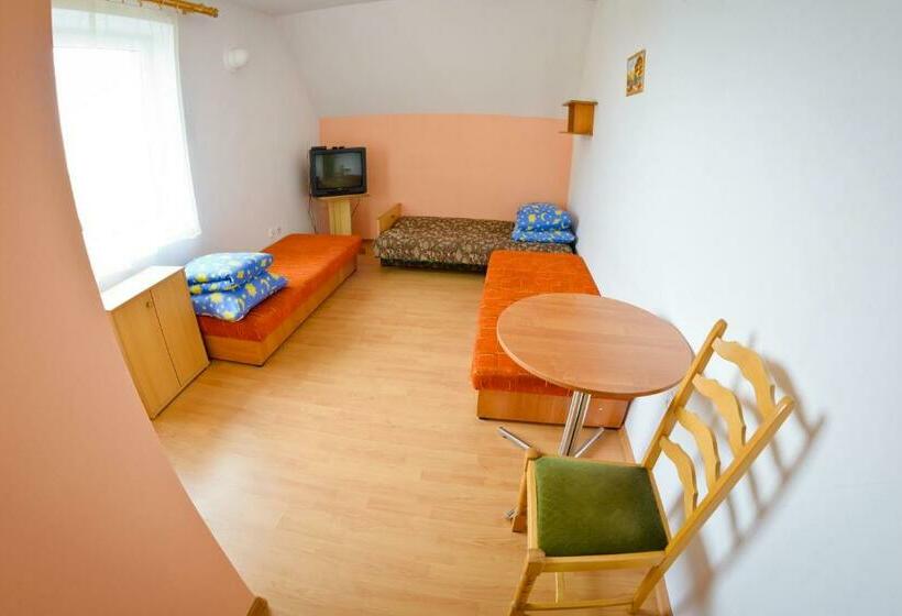 اتاق استاندارد, Ośrodek Zibi