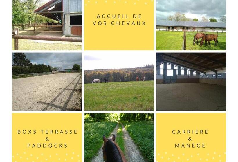 标准间, Chambres D Hôtes Du Ranch