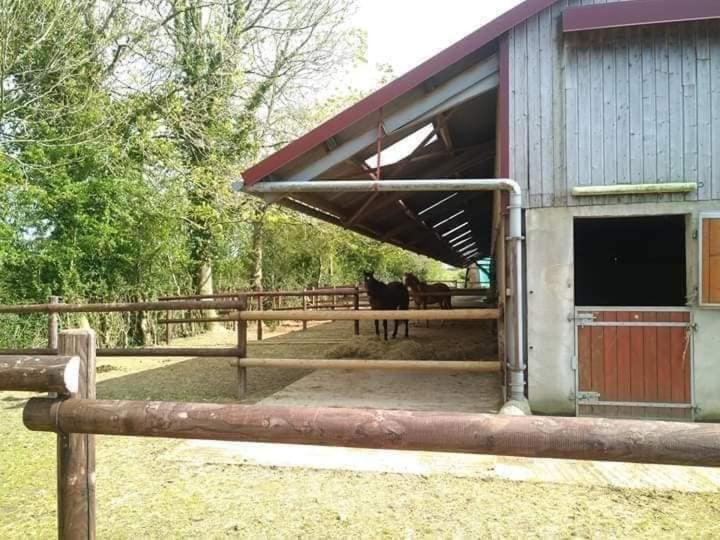 家庭套房, Chambres D Hôtes Du Ranch