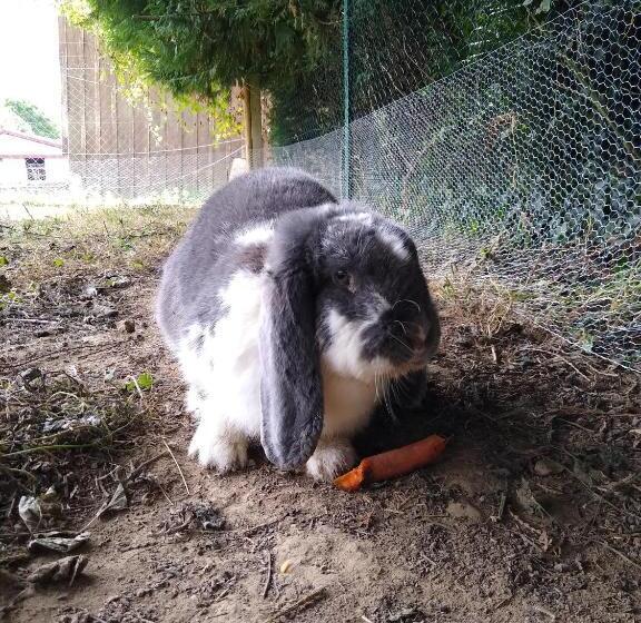 Family Suite, Chambres D Hôtes Du Ranch
