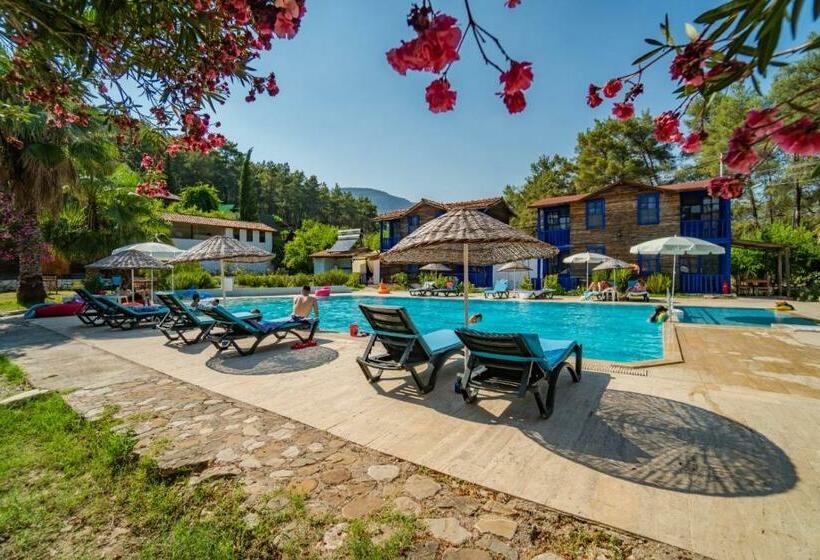 اتاق استاندارد سه نفره, Olympos Forest House
