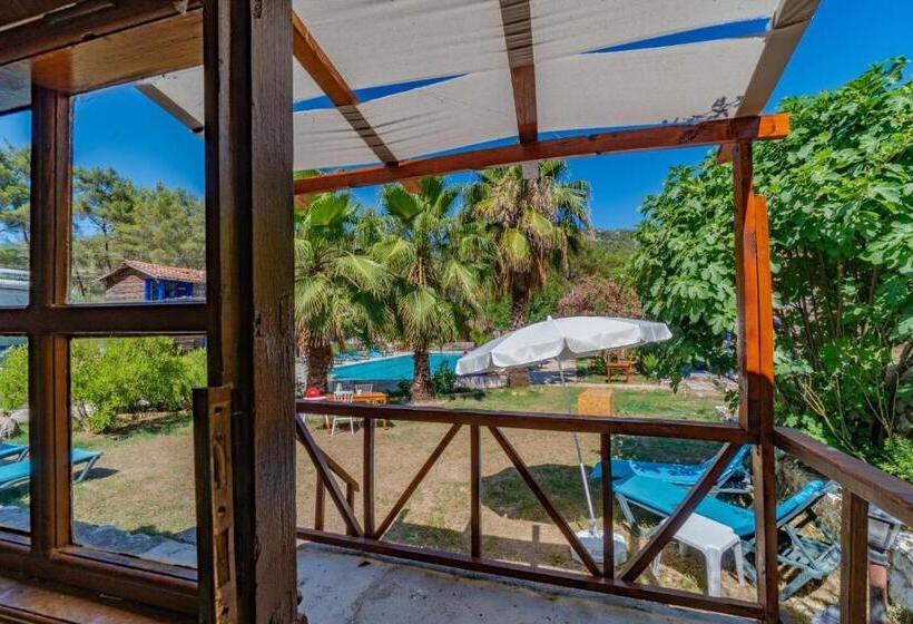 اتاق لوکس, Olympos Forest House