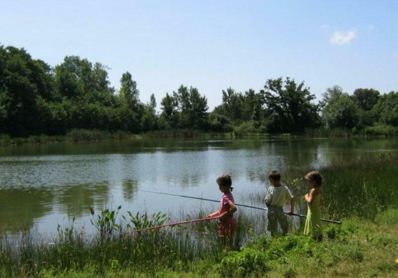 标准间, Le Puy Babin Chambres Familiales à La Ferme