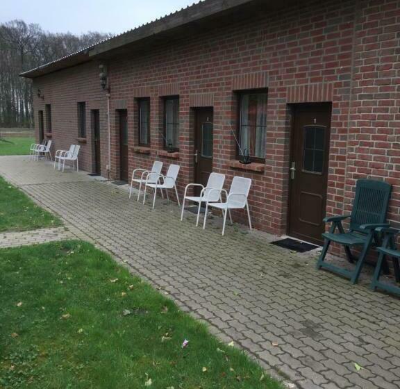 标准间, Biogut Evensen