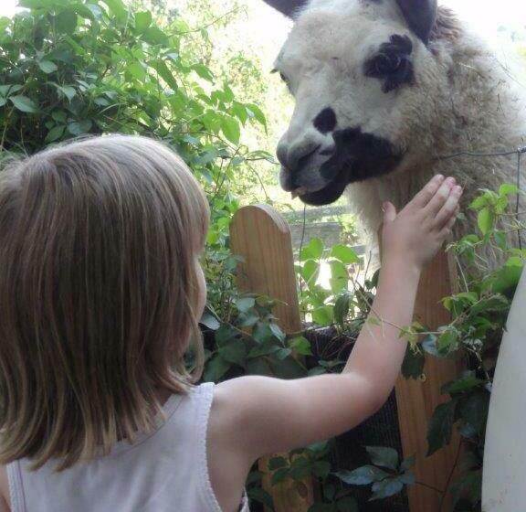 Дом 1 Спальня, Biohof Koller