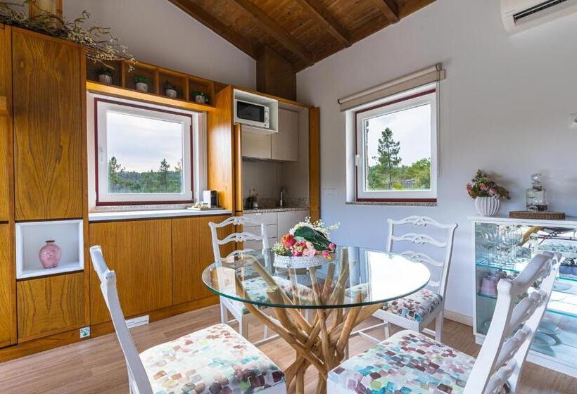 شقة ديلوكس غرفة واحدة, Moinho Da Lapa