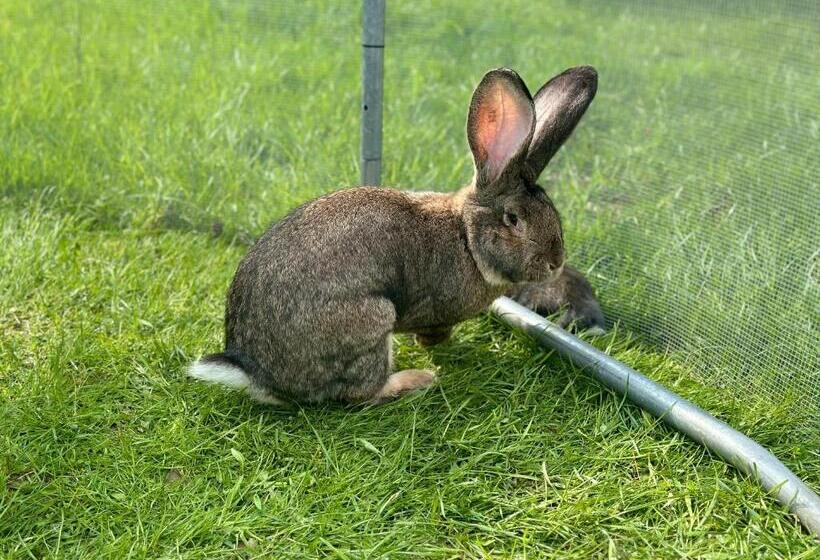 침실 2개 주택, Wypoczynek Na Mazurach U Sebka