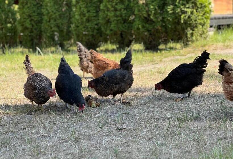 침실 2개 주택, Wypoczynek Na Mazurach U Sebka