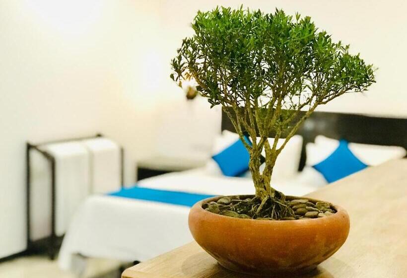 סוויטת ג'וניור עם מרפסת, Ck House Unawatuna