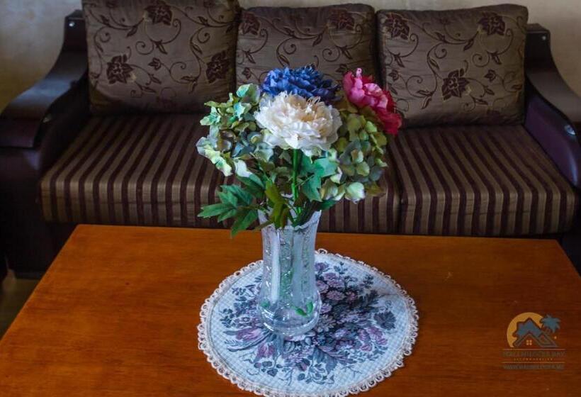 آپارتمان کامفورت 2 خوابه, Mali Miločer Bay Accommodation