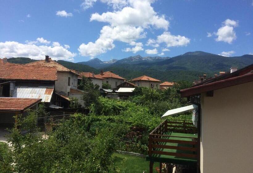 Четырехместный Номер Стандарт Вид на Сад, Mira Guest House