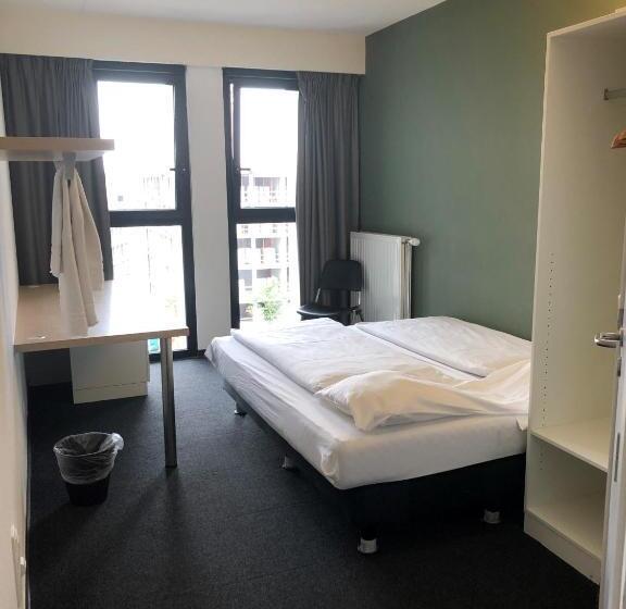 غرفة قياسية, The Ash