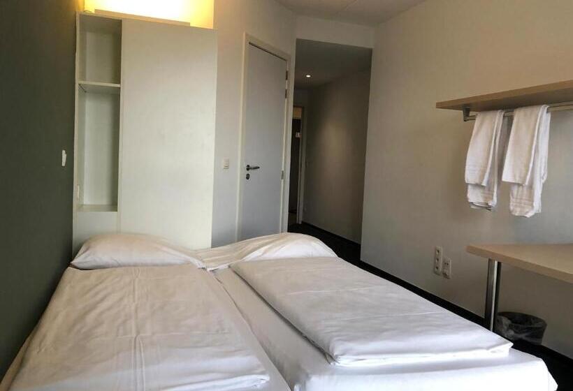 غرفة قياسية, The Ash