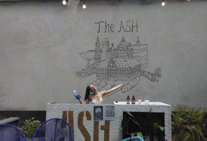 غرفة قياسية ثلاثية, The Ash