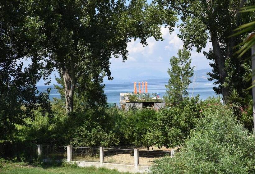 エコノミー4人部屋, Antony S Complex