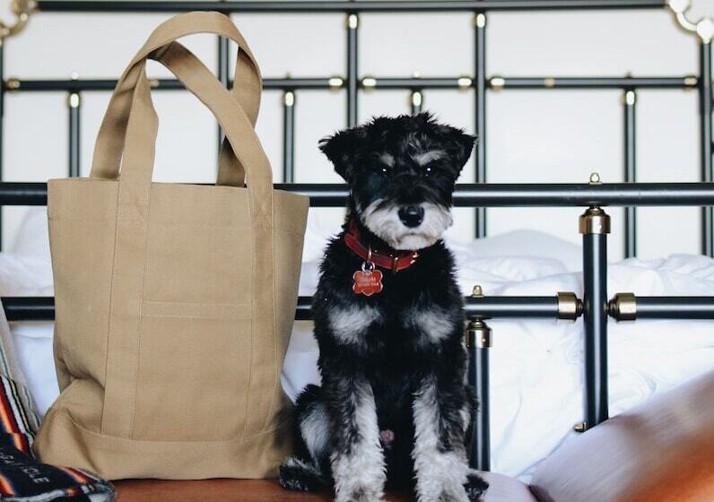 اتاق استاندارد با 2 تخت دوبل, Chicago Athletic Association, Part Of Hyatt